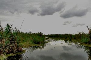 تالاب سیاه کِشیم