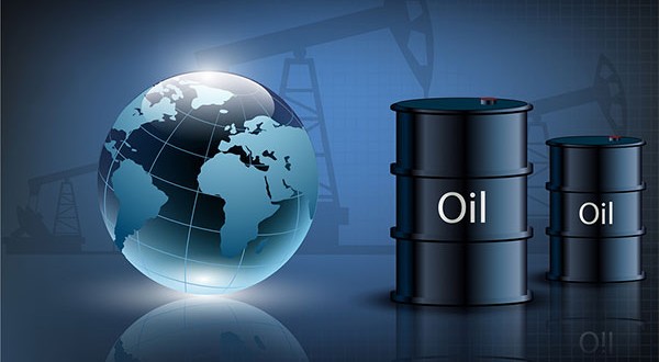 از مشارکت 44.5 درصدی سرشماری اینترنتی تا ارزان شدن گوشت گوسفند