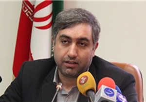 تمام روستا های 10 تا 20 خانوار در کشور از نعمت برق بهره&zwnj;مند می شوند