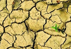 کاهش آب چاه‌ های کشاورزی در منطقه لارستان