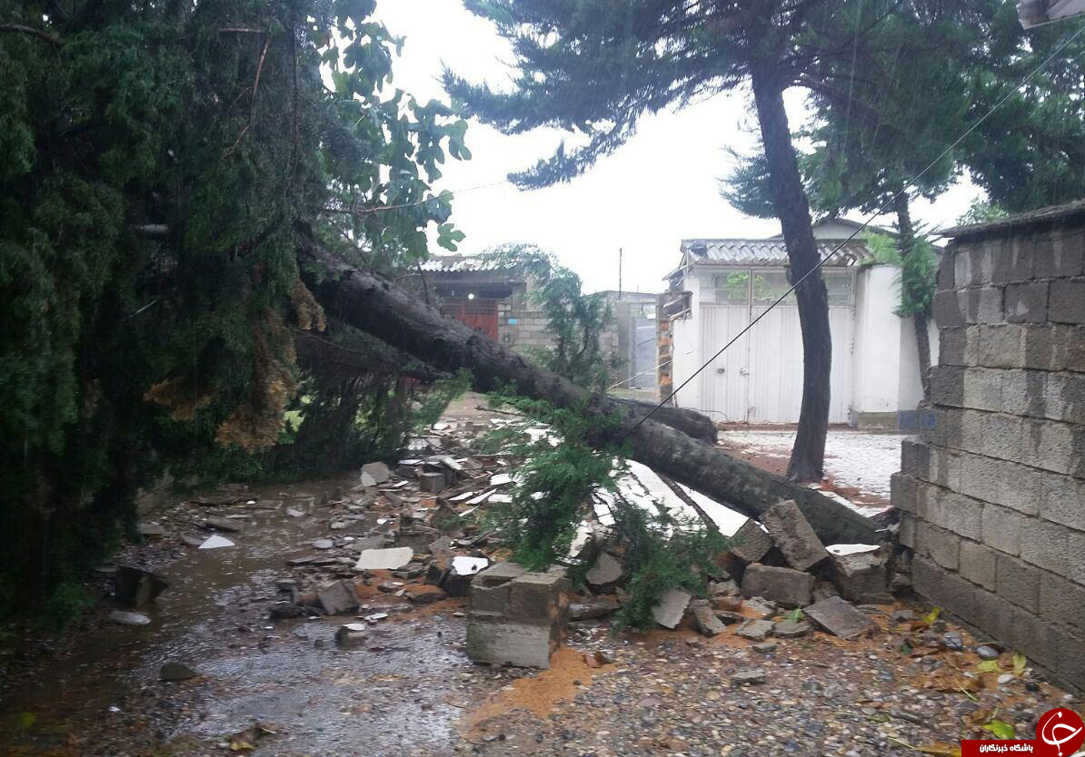 آبگرفتگی معابر مازندران از غرب تا شرق+ تصاویر