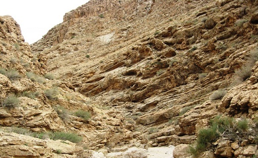 آشنایی با منطقه شکار ممنوع تپال