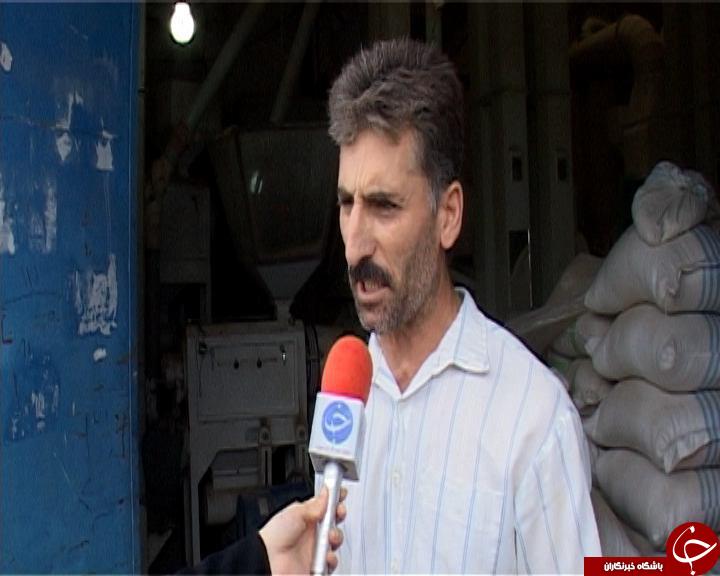 سبوس ،ثروتی که دور ریخته می شود.