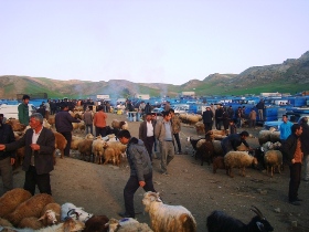 برخورد با عرضه کنندگان احشام در اهواز