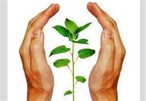 استفاده از ظرفیتهای سپاه و بسیج سازندگی در جهت اجرای طرح توانمندسازی جوامع محلی