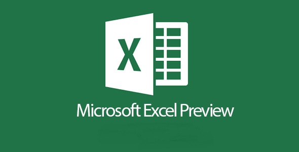 Microsoft Excel Preview