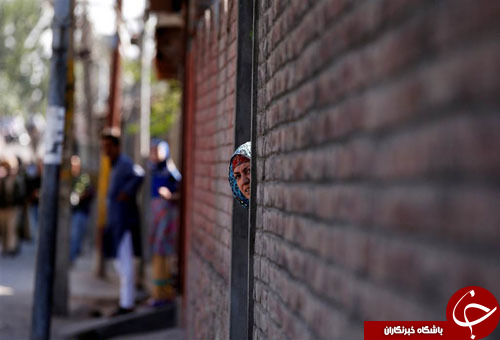 از گرامیداشت روز ببر در شرق دور تا مسابقات پرورش کدو حلوایی غول&zwnj;پیکر