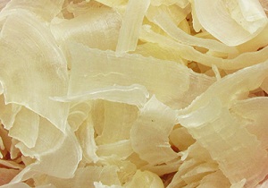 برداشت بیش از 3000 کیلوگرم کتیرا از مراتع استان