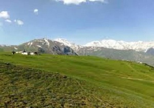 85هزار هکتار مراتع سمنان تحت پوشش بیمه قرار دارند