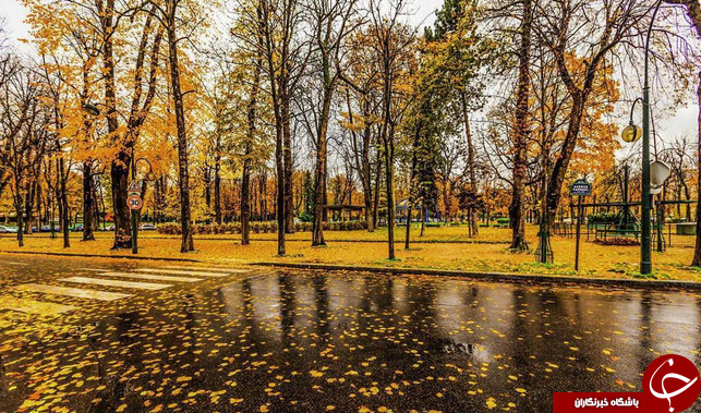 ثبت لحظه های ناب در اینستاگرام نشنال جئوگرافی + تصاویر
