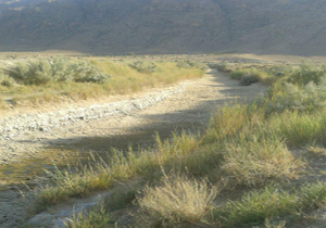 کم آبی کشاورزان را زمین گیر کرد + فیلم
