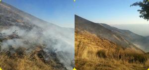 30هکتار از مراتع درختچه ای روستای کویان طارم طعمه حریق شد