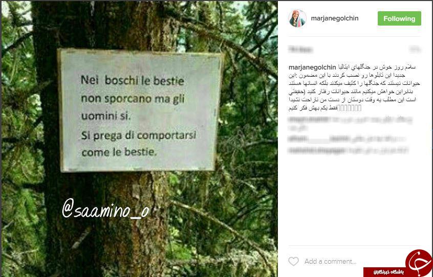دعوت مرجانه گلچین برای حفظ جنگلها