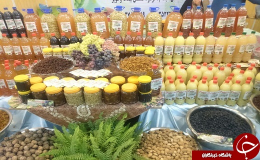 برگزاری جشن ملی انگور در تاکستان