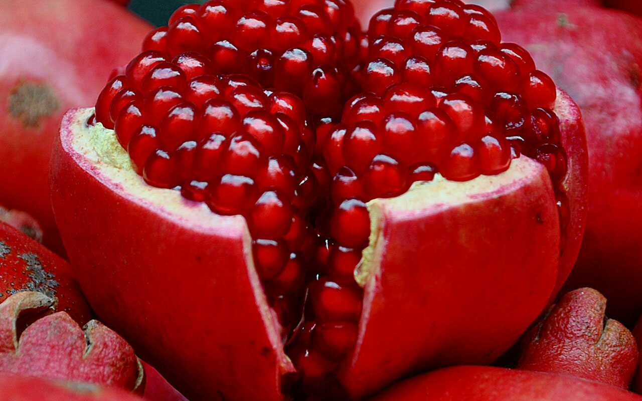 جشنواره انار چترود