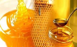 تولید سالانه 120 تن عسل در خراسان جنوبی