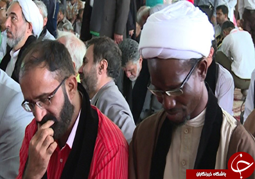 استقبال از پیرغلامان و خادمان حسینی در هرمزگان + تصویر