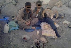 دستگیری "شکارچیان" متخلف