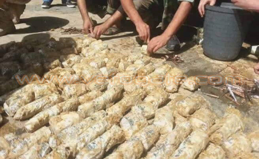 کشف مهمات تروریست های سوری در شکم گاو!