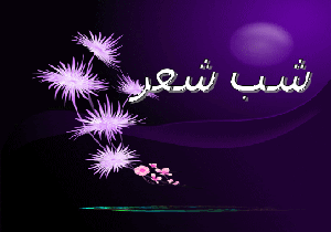 شب شعر حنجره های ایثار و نشست مودت در میناب