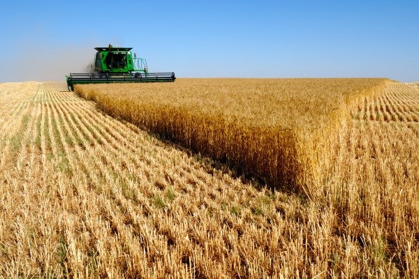 از الاکلنگ بازرا سرمایه در هفته ای که گذشت تا کاهش نرخ سود بانکی تسهیلات کشاورزی
