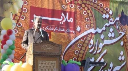 برداشت بیش از 245 هزار تن انگور در ملایر