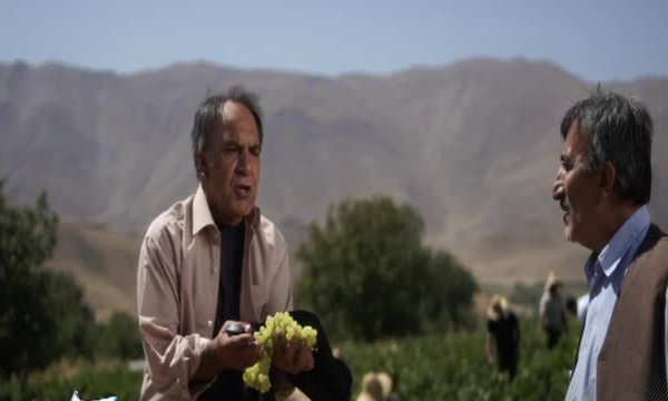 بوی تاک راهی آنتن شبکه 5 می شود