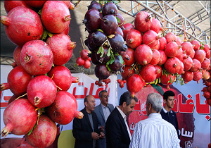 برگزاری جشنواره انار اشرف در نیمه آبان