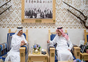 دیدار ولیعهد امارات با ملک سلمان در ریاض