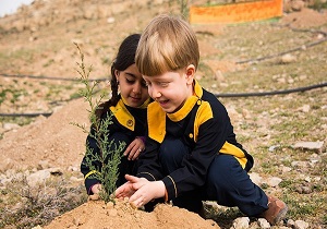 اجرای موفق تکنولوژی برای تولید درخت هایی که نیازمند آبیاری نیستند