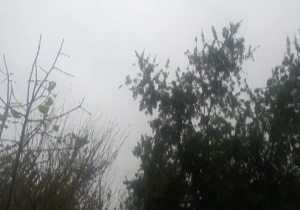 باد و باران شدید در آستارا + فیلم
