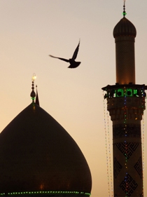 اعزام ۱۳۲ نفر از مددجویان زیارت اولی به مشهد مقدس