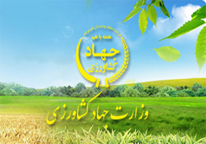 شناسایی 640 طرح کشاورزی نیمه فعال