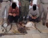 دستگیری 326 متخلف و شکارچی غیر مجاز در خراسان جنوبی
