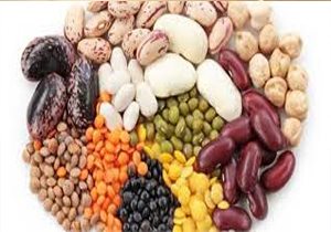 تولید 6 هزار تن حبوبات در کهگیلویه و بویراحمد