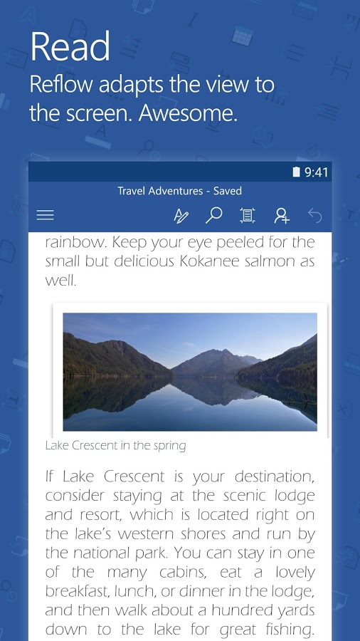 Microsoft Word