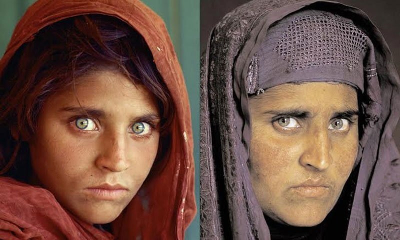 حکومت پاکستان شربت&zwnj;گل را با قید ضمانت آزاد می&zwnj;کند
