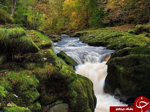 در این رودخانه ظرف چند ثانیه بلعیده خواهید شد !+عکس