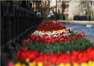 احداث بزرگترین شهرک گلخانه شمال غرب کشور در شهرستان ملکان