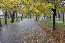 باران پاییزی میهمان همدانی ها می شود