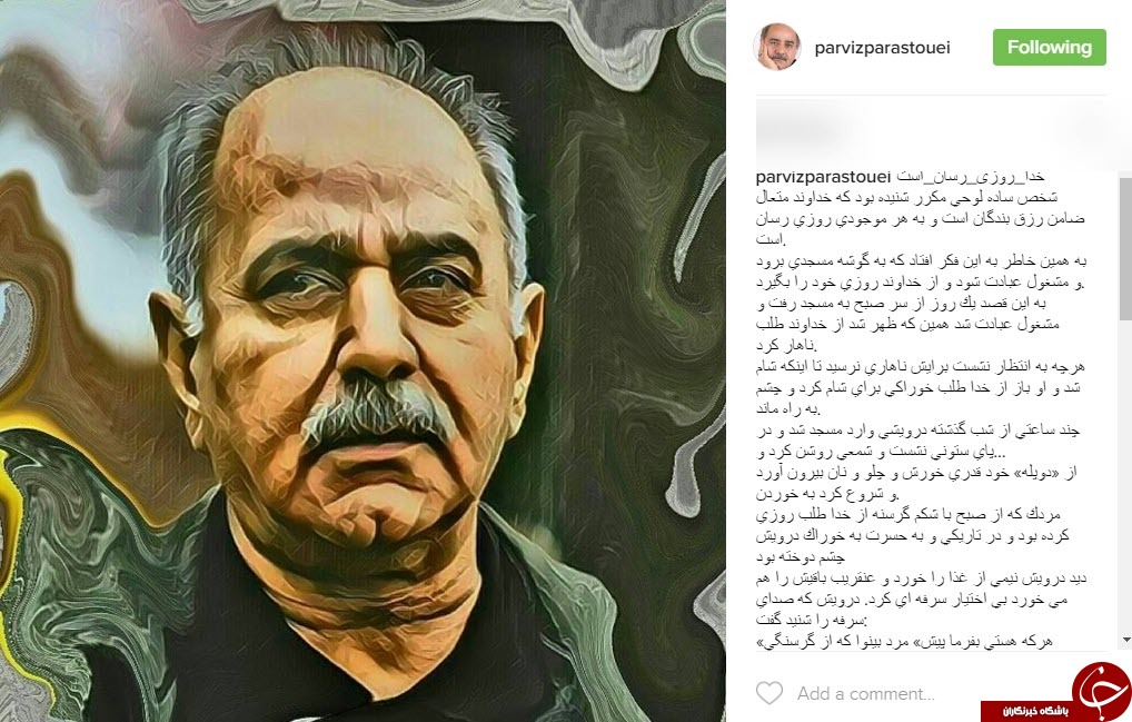 حکایت پرستویی از روزی رسانی خداوند+اینستاپست
