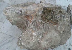 مطالعه محدوده کشف فسیل سه میلیون ساله فیل در بیله سوار