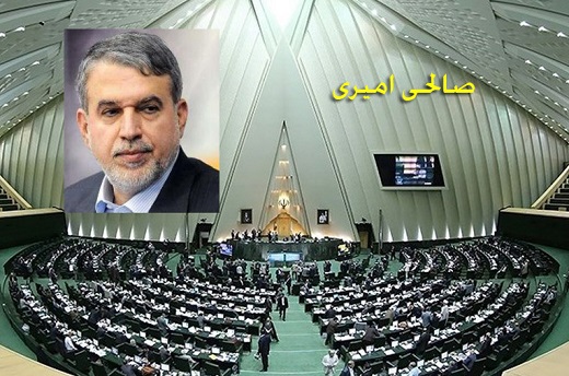 اظهارات موافقان و مخالفان صالحی امیری