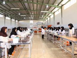 سرمایه&zwnj;گذاران مشکل بازاریابی محصول خرما را برطرف کنند
