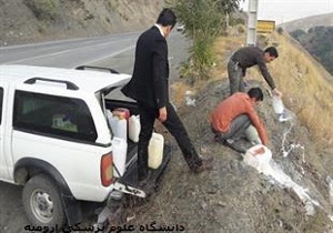 امحاء 850 کیلو گرم موادلبنی تاریخ مصرف گذشته درسردشت