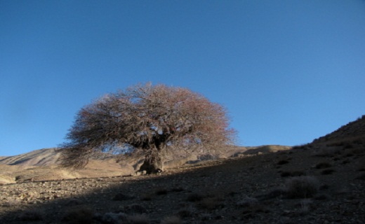 کوه چهل تن کجاست + تصاویر