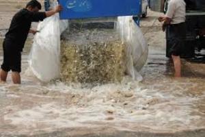 رها سازی 3 میلیون قطعه انواع بچه ماهی گرمابی در دریاچه سد ارس