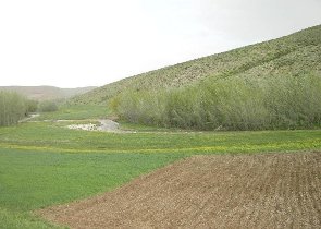 آزادسازی بیش از 31 هکتار از اراضی ملی در استان گیلان