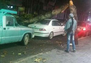 طوفان با سرعت 90 کیلومتر بر ساعت در گرگان
