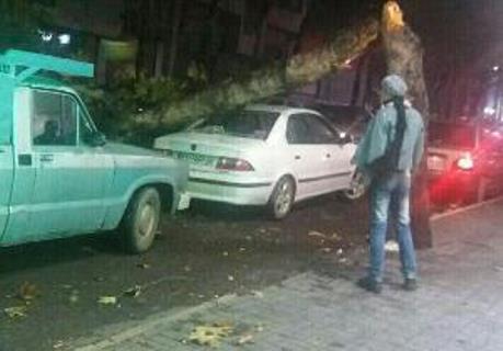 خسارت طوفان در  گرگان+ تصاویر
